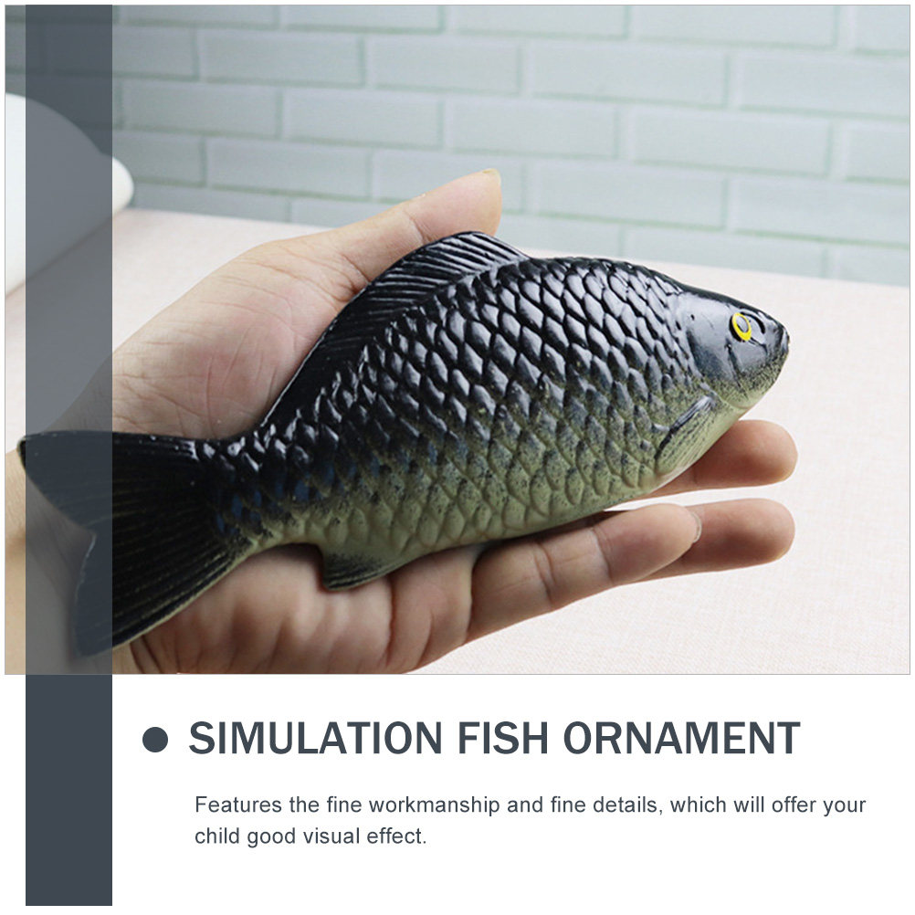 4 Pezzi di Ornamenti Realistic - Science Toy recensione e prezzo