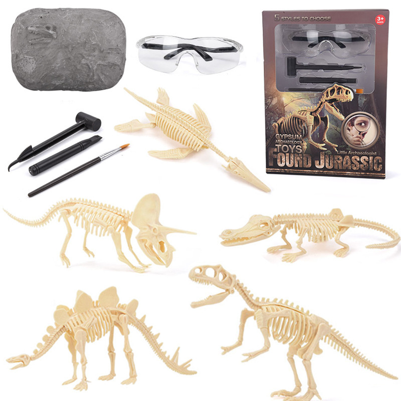 Kit di Scavo di Fossili di Din - Science Toys recensione e prezzo