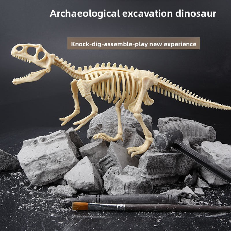 Kit di Scavo di Fossili di Din - Science Toys recensione e prezzo