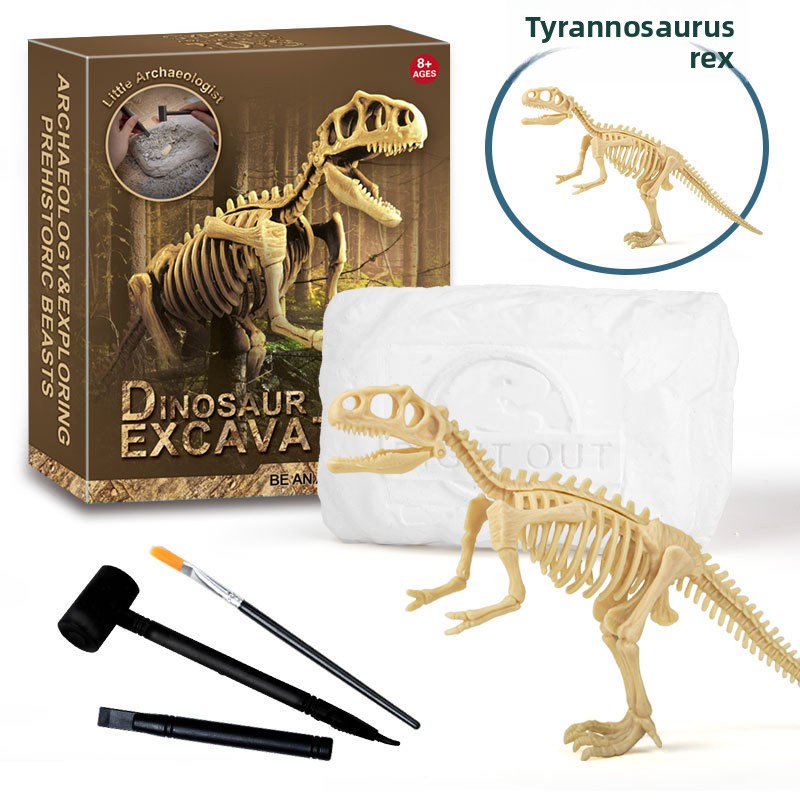 Kit di Scavo di Fossili di Din - Science Toys recensione e prezzo